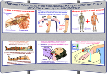 (К-ОТ-1) Первая помощь пострадавшим при несчастных случаях на производстве - Тематические модульные стенды - Охрана труда и промышленная безопасность - Кабинеты охраны труда otkabinet.ru